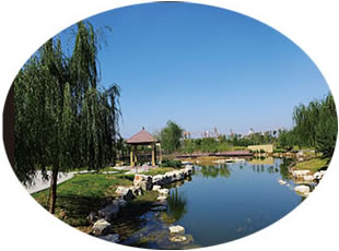 公园客流统计应用场所